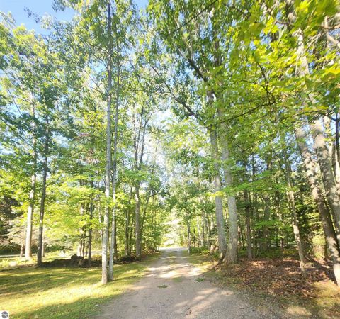 Tiny photo for 11551 Enchanted Drive, Frederic, MI 49733 (MLS # 1940382)