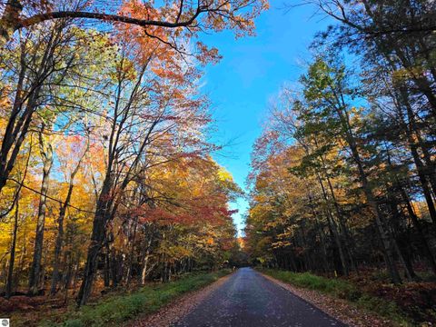 Tiny photo for 11551 Enchanted Drive, Frederic, MI 49733 (MLS # 1940382)