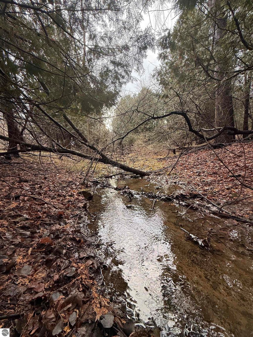 Photo of TBD Cedar Drive, Mt Pleasant, MI 48858 (MLS # 1931443)