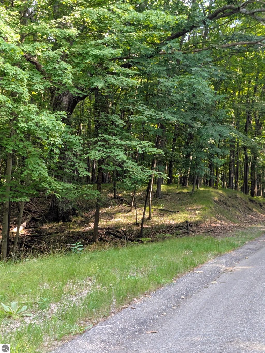 Photo of 11717 Broken Arrow #226, Canadian Lakes, MI 49346 (MLS # 1936949)