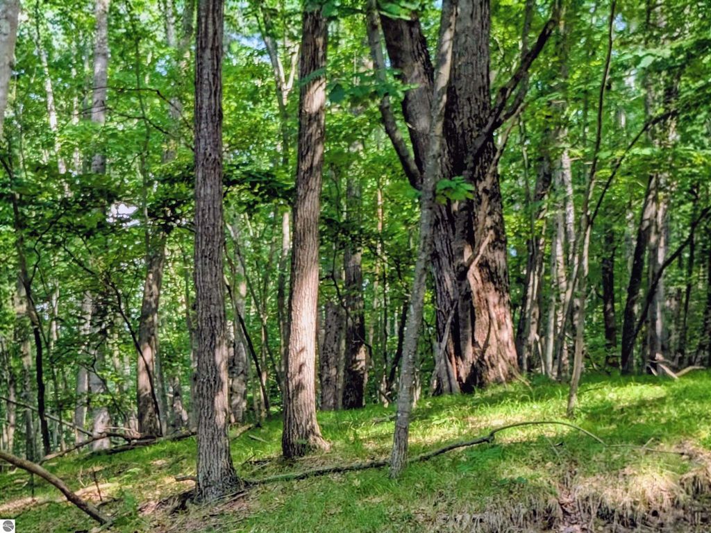 Photo of 11717 Broken Arrow #226, Canadian Lakes, MI 49346 (MLS # 1936949)