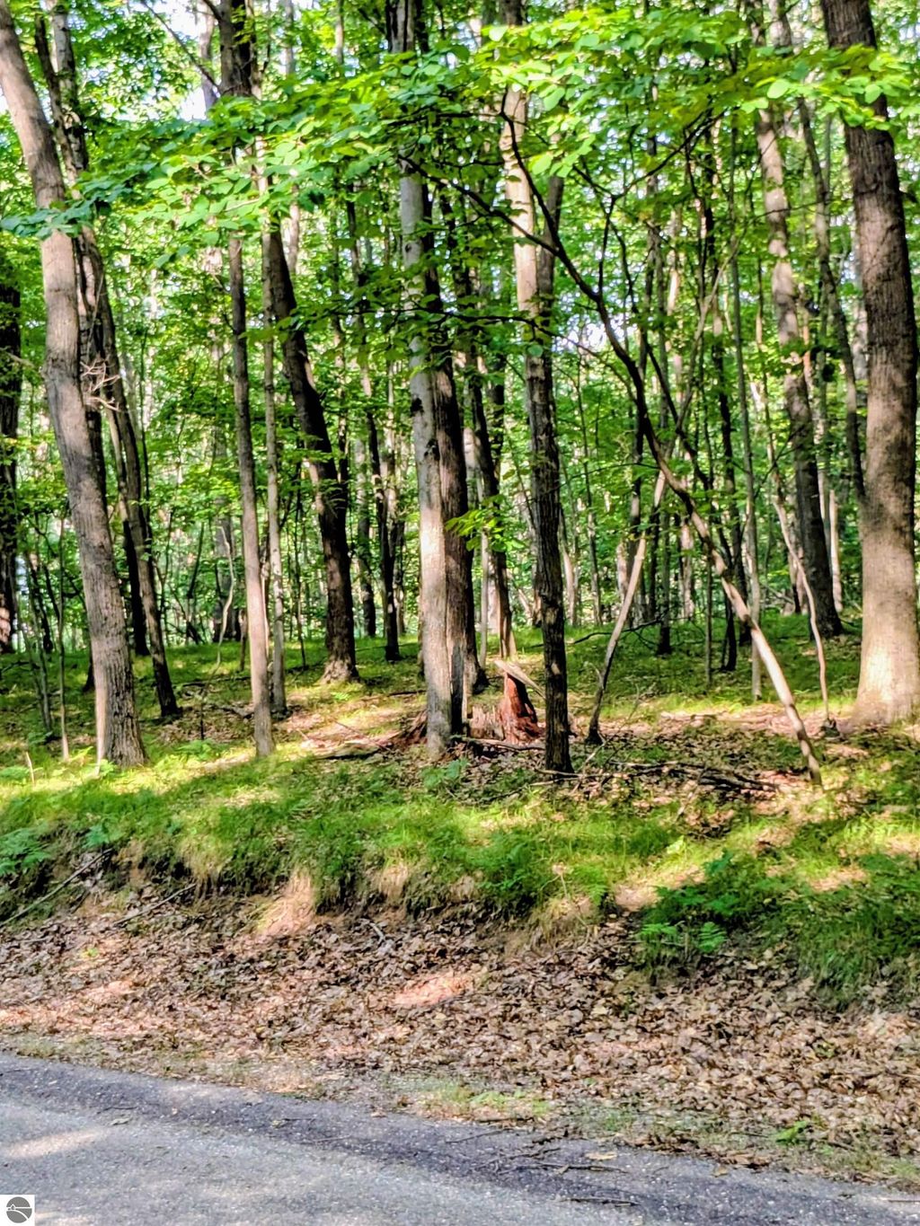 Photo of 11717 Broken Arrow #226, Canadian Lakes, MI 49346 (MLS # 1936949)