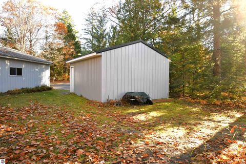Tiny photo for 8990 Park Avenue, Alanson, MI 49706 (MLS # 1940172)