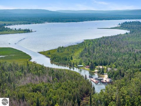 Tiny photo for 8990 Park Avenue, Alanson, MI 49706 (MLS # 1940172)