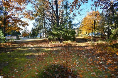 Tiny photo for 8990 Park Avenue, Alanson, MI 49706 (MLS # 1940172)