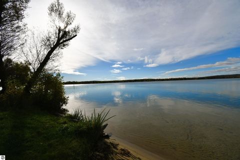 Tiny photo for 8990 Park Avenue, Alanson, MI 49706 (MLS # 1940172)