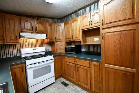 Tiny photo for 8990 Park Avenue, Alanson, MI 49706 (MLS # 1940172)