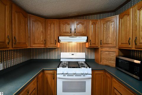 Tiny photo for 8990 Park Avenue, Alanson, MI 49706 (MLS # 1940172)