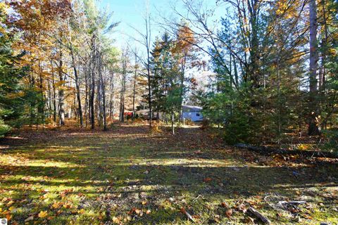 Tiny photo for 8990 Park Avenue, Alanson, MI 49706 (MLS # 1940172)