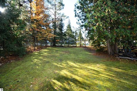 Tiny photo for 8990 Park Avenue, Alanson, MI 49706 (MLS # 1940172)