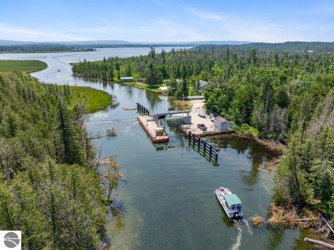 Tiny photo for 8990 Park Avenue, Alanson, MI 49706 (MLS # 1940172)