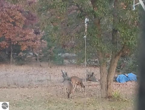 Tiny photo for 3289 N Ferris Road, Sumner, MI 48889 (MLS # 1940400)