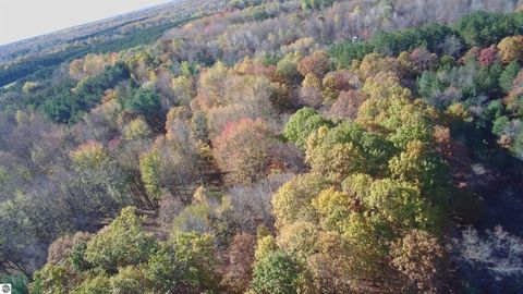 Tiny photo for 3289 N Ferris Road, Sumner, MI 48889 (MLS # 1940400)