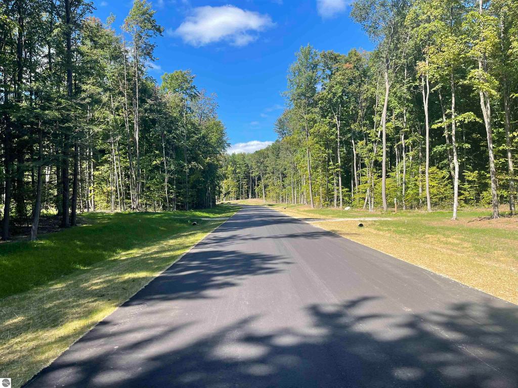 Photo of 5959 Elkhorn Road, Kingsley, MI 49649 (MLS # 1939719)