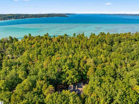 Tiny photo for 6993 NW Aarwood Road, Rapid City, MI 49676 (MLS # 1938797)