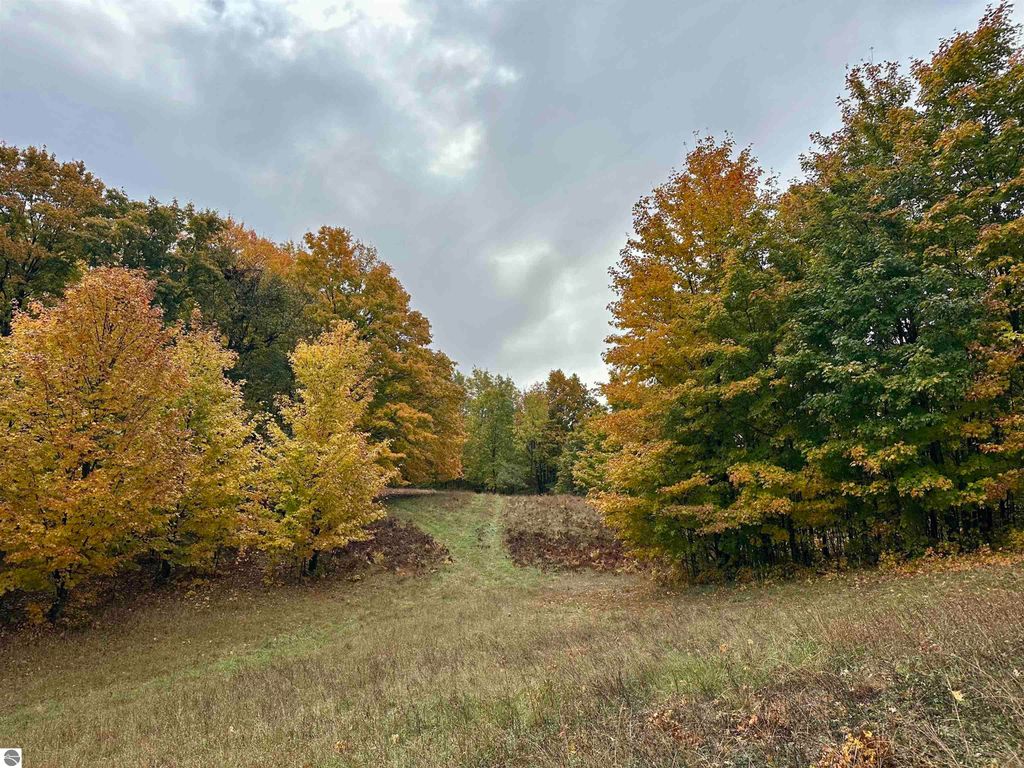 Photo of 406 E Popa Road, Cedar, MI 49621 (MLS # 1939921)