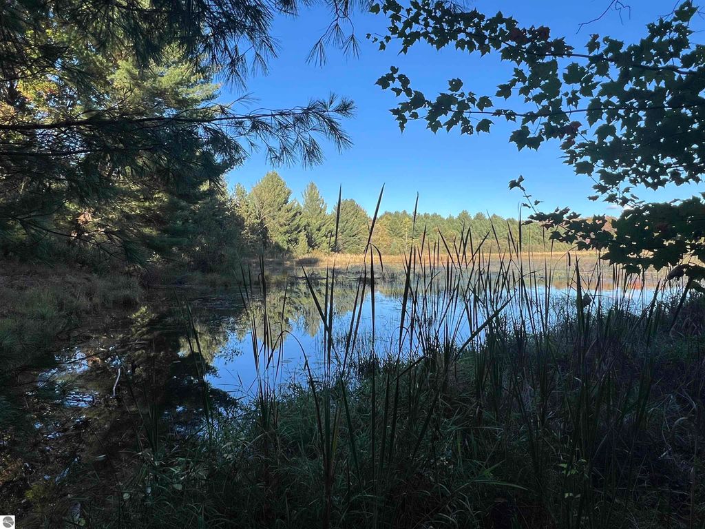 Photo of 7556 210th Avenue, Reed City, MI 49677 (MLS # 1939390)