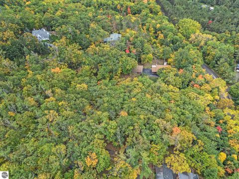 Tiny photo for 5959 La Canada, Harbor Springs, MI 49740 (MLS # 1939815)