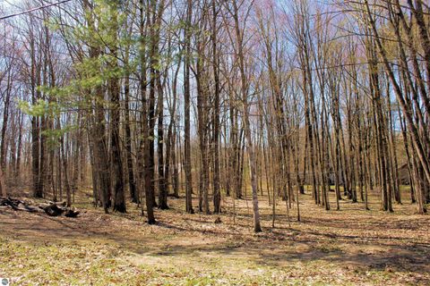 Tiny photo for 00 NE Chwastek Road, Kalkaska, MI 49646 (MLS # 1933508)