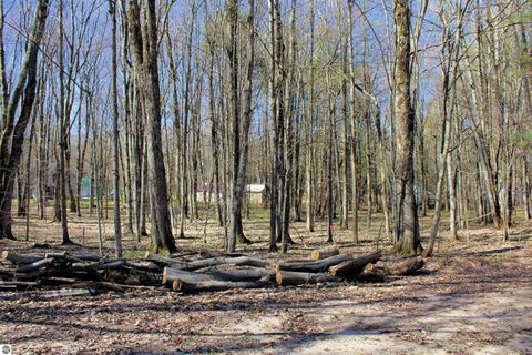 Tiny photo for 00 NE Chwastek Road, Kalkaska, MI 49646 (MLS # 1933508)