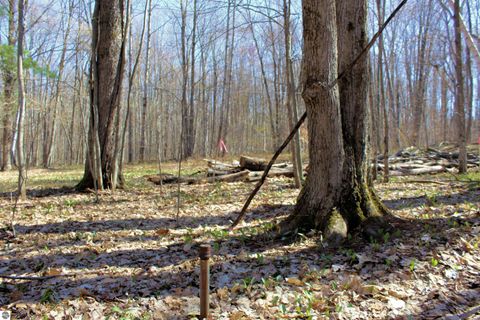 Tiny photo for 00 NE Chwastek Road, Kalkaska, MI 49646 (MLS # 1933508)