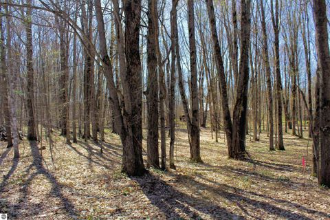 Tiny photo for 00 NE Chwastek Road, Kalkaska, MI 49646 (MLS # 1933508)