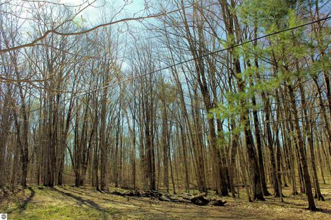 Tiny photo for 00 NE Chwastek Road, Kalkaska, MI 49646 (MLS # 1933508)