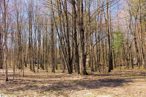 Tiny photo for 00 NE Chwastek Road, Kalkaska, MI 49646 (MLS # 1933508)