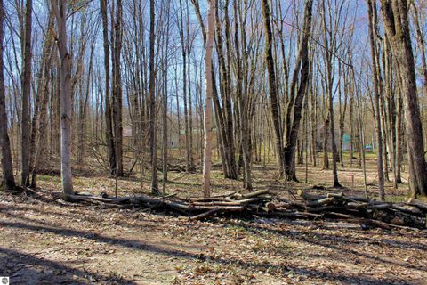 Tiny photo for 00 NE Chwastek Road, Kalkaska, MI 49646 (MLS # 1933508)