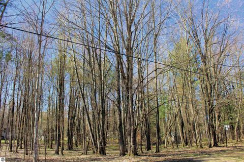 Tiny photo for 00 NE Chwastek Road, Kalkaska, MI 49646 (MLS # 1933508)