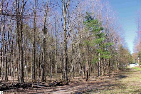 Tiny photo for 00 NE Chwastek Road, Kalkaska, MI 49646 (MLS # 1933508)