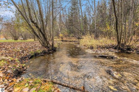 Tiny photo for 7436 Valley Street, Alden, MI 49612 (MLS # 1940323)