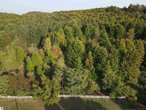 Tiny photo for 10981 S Tower Road, Maple City, MI 49664 (MLS # 1940349)