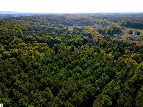 Tiny photo for 10981 S Tower Road, Maple City, MI 49664 (MLS # 1940349)