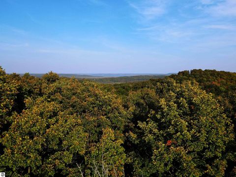 Tiny photo for 10981 S Tower Road, Maple City, MI 49664 (MLS # 1940349)