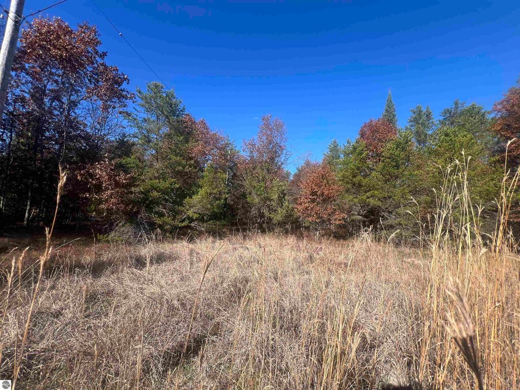 Photo of 0000 Kopko Trail, Roscommon, MI 48653 (MLS # 1940040)