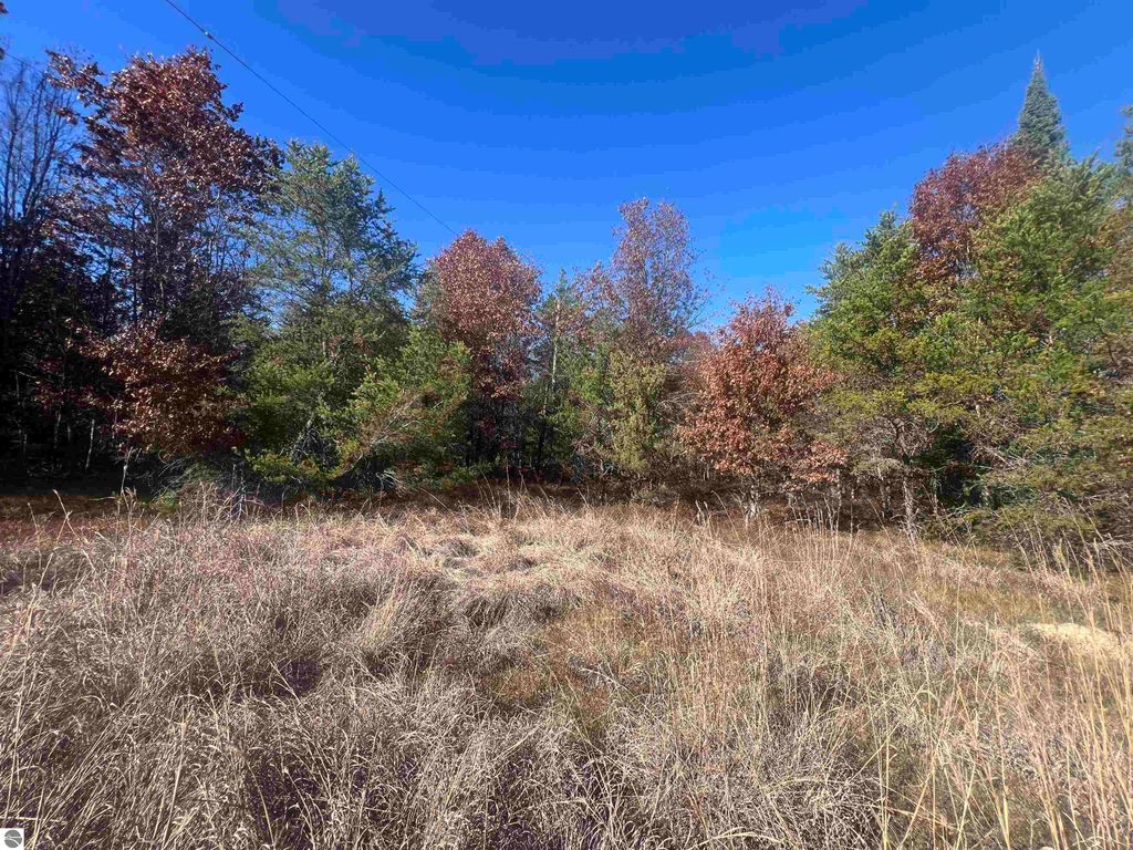 Photo of 0000 Kopko Trail, Roscommon, MI 48653 (MLS # 1940040)
