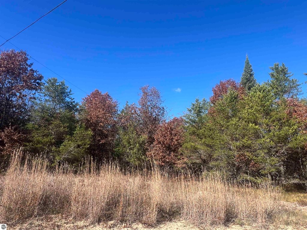Photo of 0000 Kopko Trail, Roscommon, MI 48653 (MLS # 1940040)