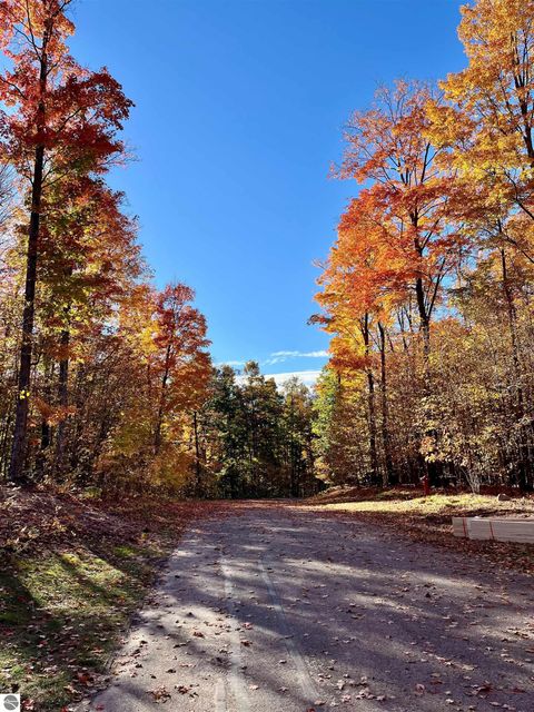 Tiny photo for 2215 Robinson Ridge, Bellaire, MI 49615 (MLS # 1939837)