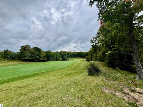 Tiny photo for 2215 Robinson Ridge, Bellaire, MI 49615 (MLS # 1939837)