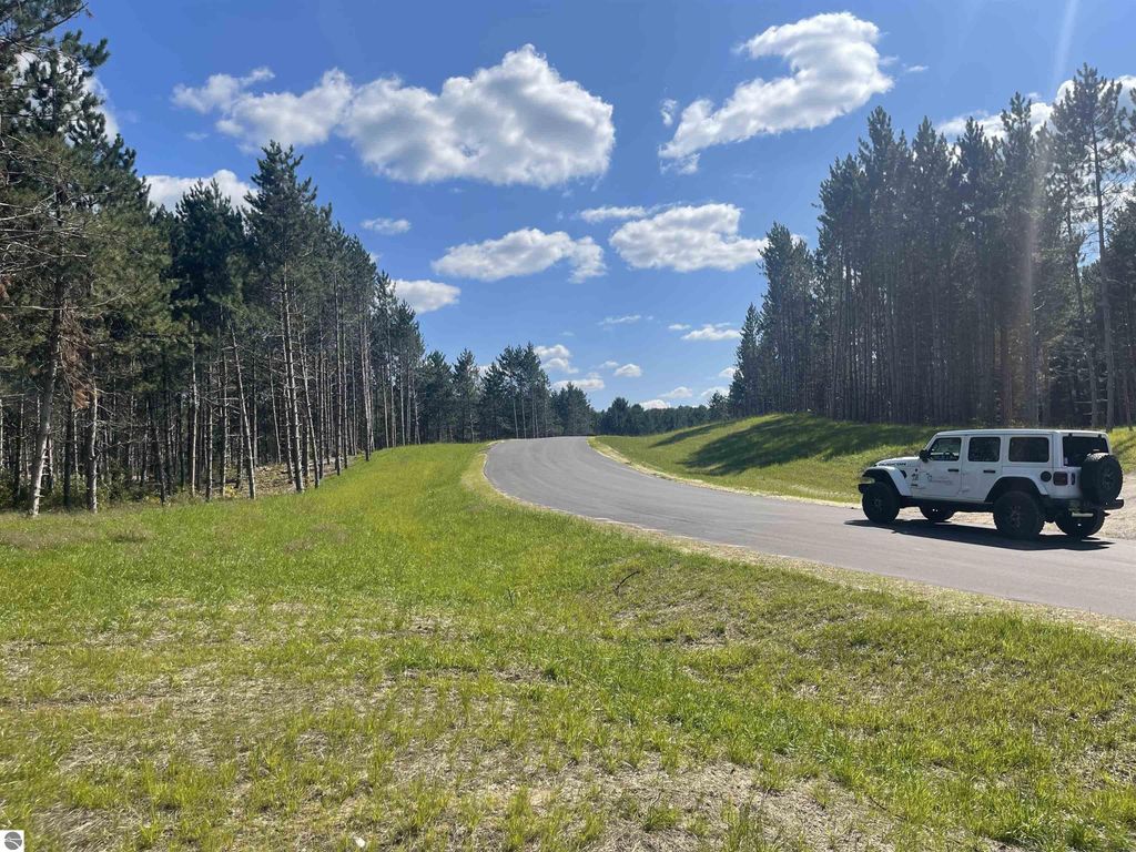 Photo of 6 NW Dockery Road, Nw, Williamsburg, MI 49690 (MLS # 1939718)