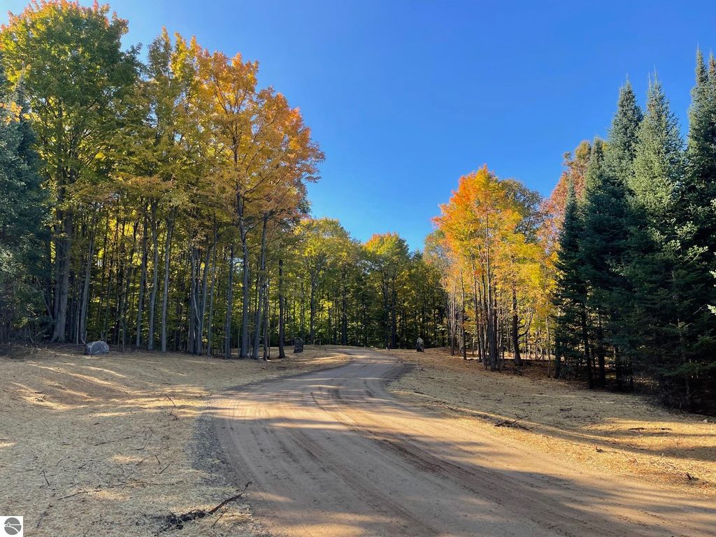 Photo of 5481 SW Old Oak Trail, Fife Lake, MI 49633 (MLS # 1939586)