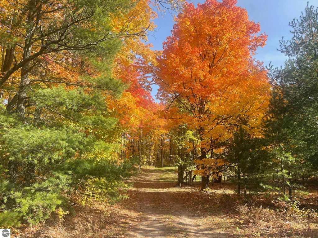 Photo of 5481 SW Old Oak Trail, Fife Lake, MI 49633 (MLS # 1939586)