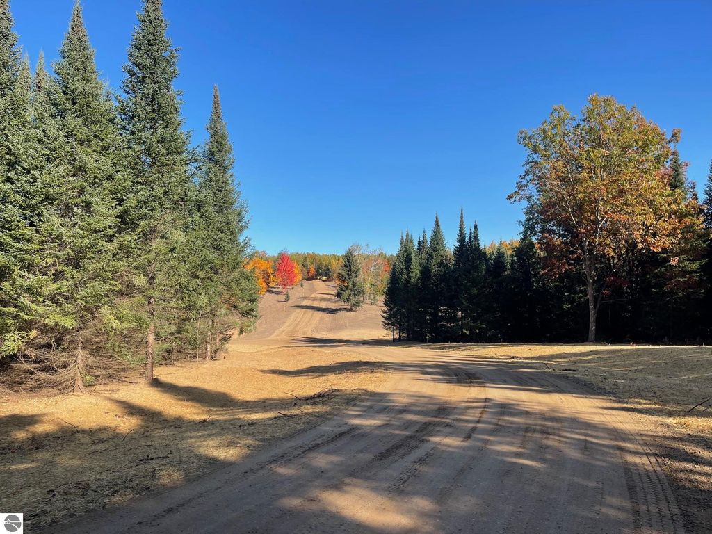 Photo of 5481 SW Old Oak Trail, Fife Lake, MI 49633 (MLS # 1939586)