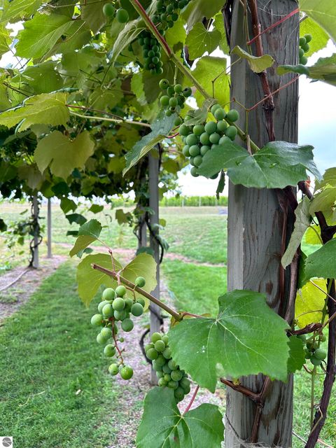 Tiny photo for 9224 E Duck Lake Road #Parcel A, Suttons Bay, MI 49682 (MLS # 1940987)