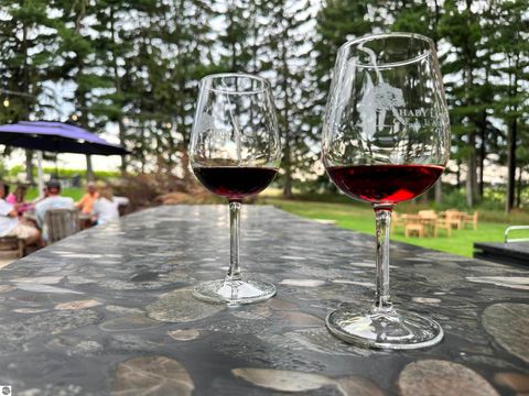 Tiny photo for 9224 E Duck Lake Road #Parcel A, Suttons Bay, MI 49682 (MLS # 1940987)