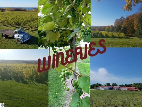 Tiny photo for 9224 E Duck Lake Road #Parcel A, Suttons Bay, MI 49682 (MLS # 1940987)