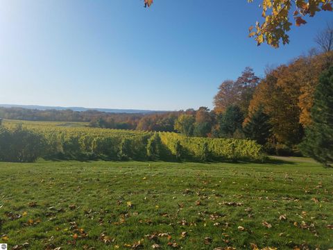 Tiny photo for 9224 E Duck Lake Road #Parcel A, Suttons Bay, MI 49682 (MLS # 1940987)