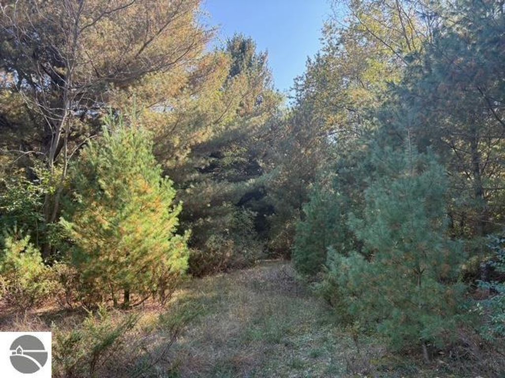 Photo of D S Glen Lake Road #D, Glen Arbor, MI 49636 (MLS # 1940543)