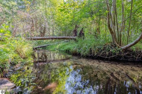 Tiny photo for 3810 N Four Mile Road, Traverse City, MI 49686 (MLS # 1940675)